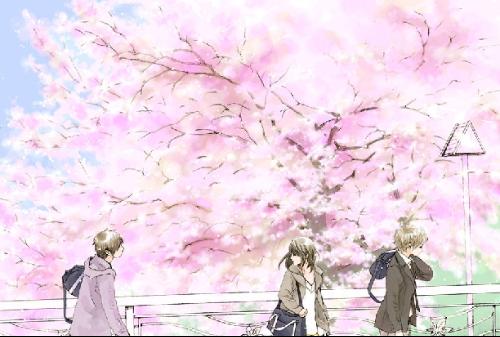 含羞草实验研究所隐藏路2024